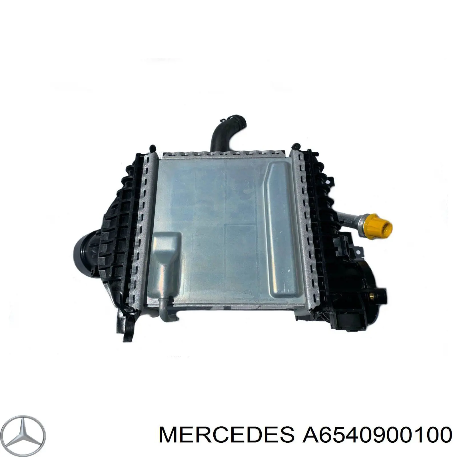 A6540900100 Mercedes