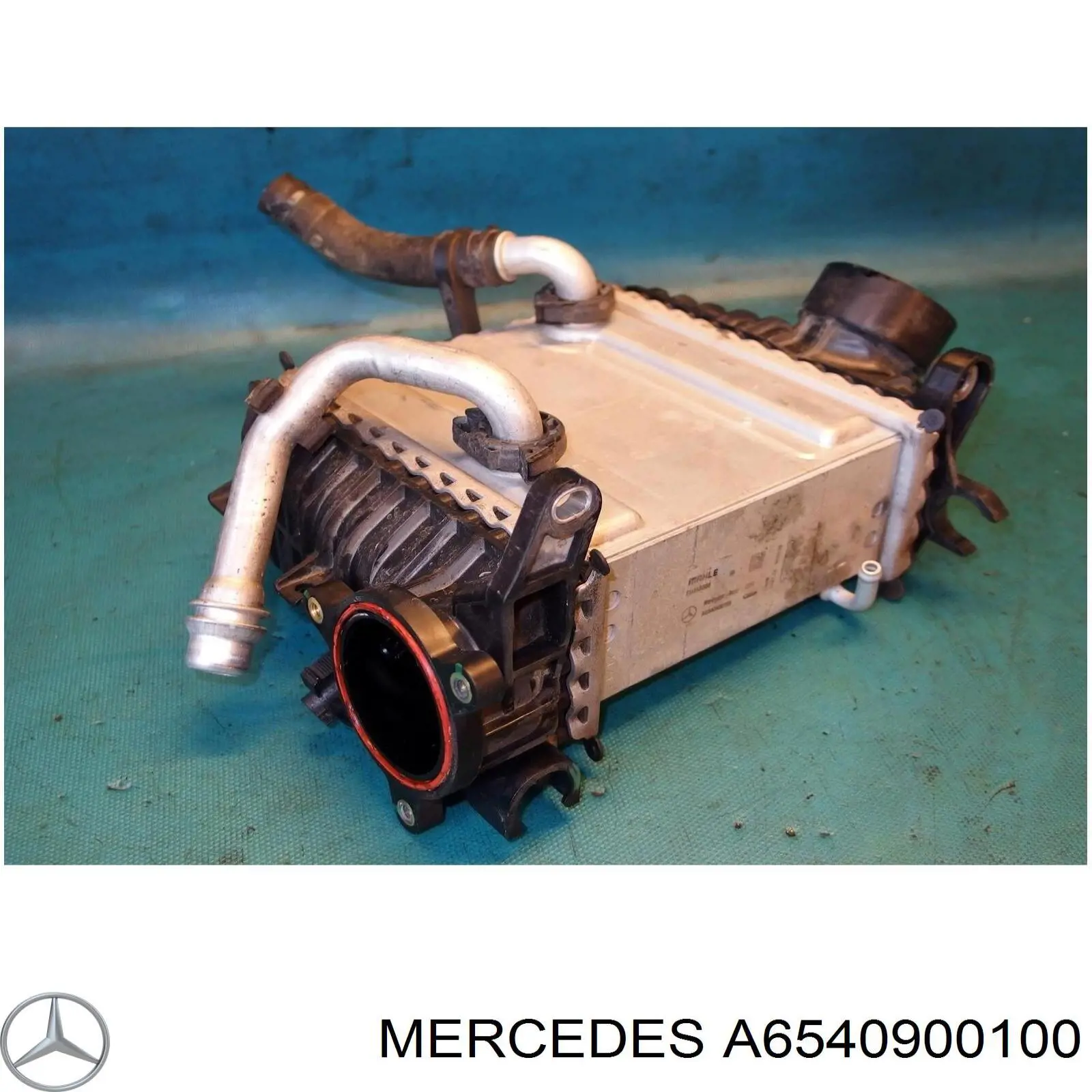 Comprar A6540900100 Mercedes Turbo intercooler