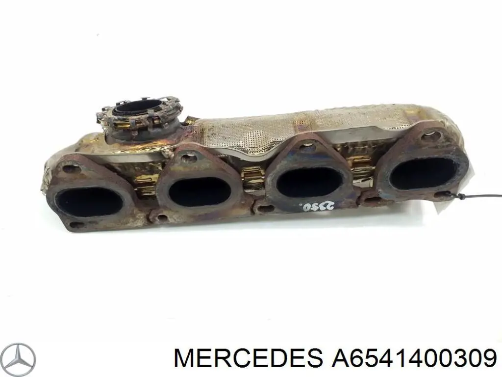 A6541400309 Mercedes