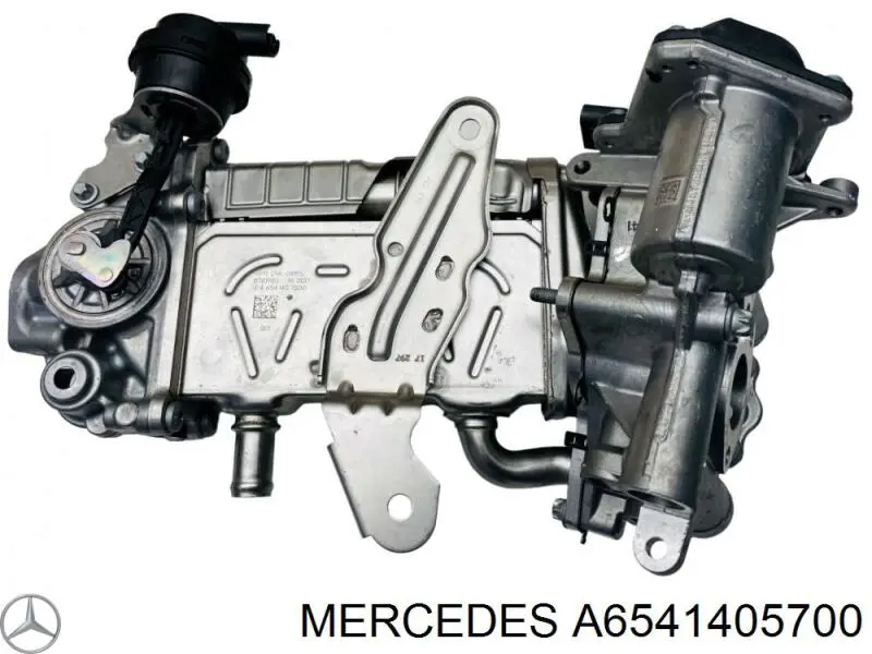 Válvula de regulación de gases Mercedes A6541405700 precio, desde 158,81 EUR