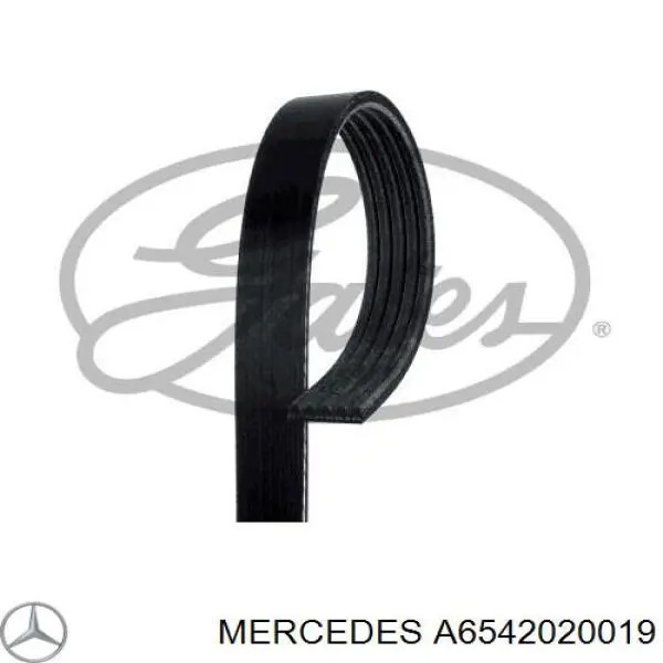 Polea inversión/guía, correa auxiliar servicios Mercedes A6542020019 precio, desde 23,53 EUR