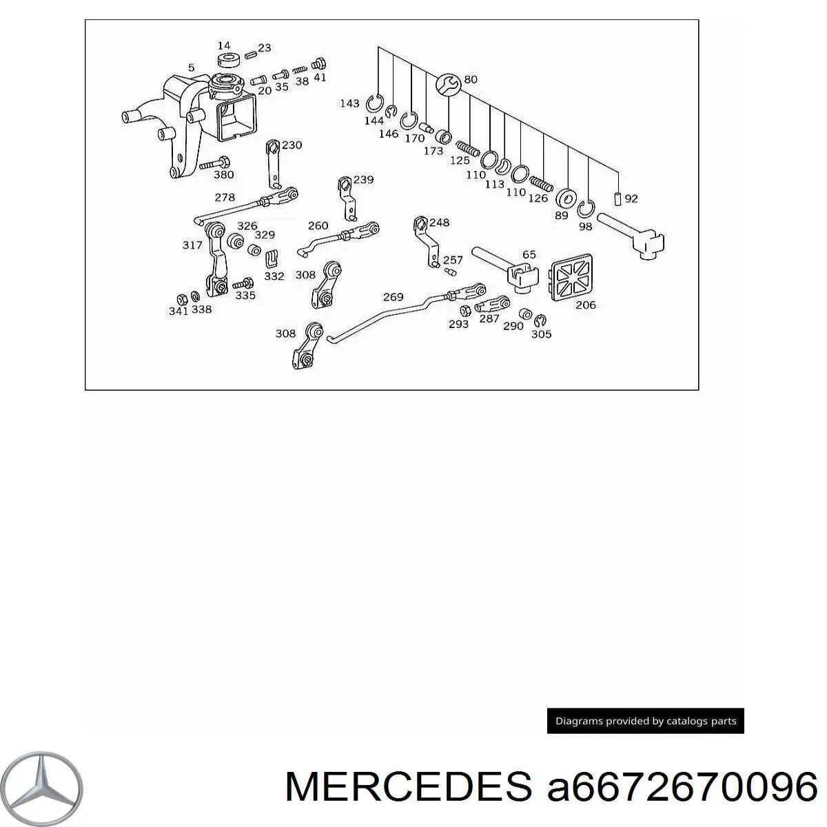 A6672670096 Mercedes