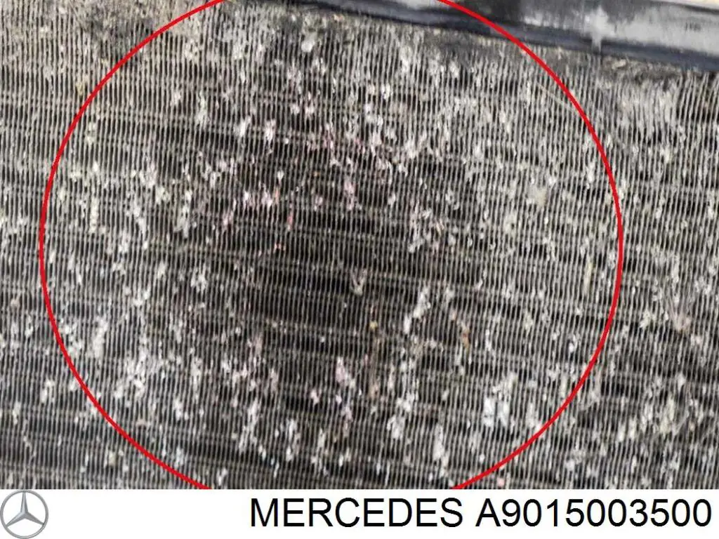 Comprar A9015003500 Mercedes Radiador de auto