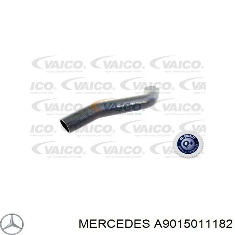 Manguera inferior del radiador Mercedes A9015011182 precio, desde 7,69 EUR