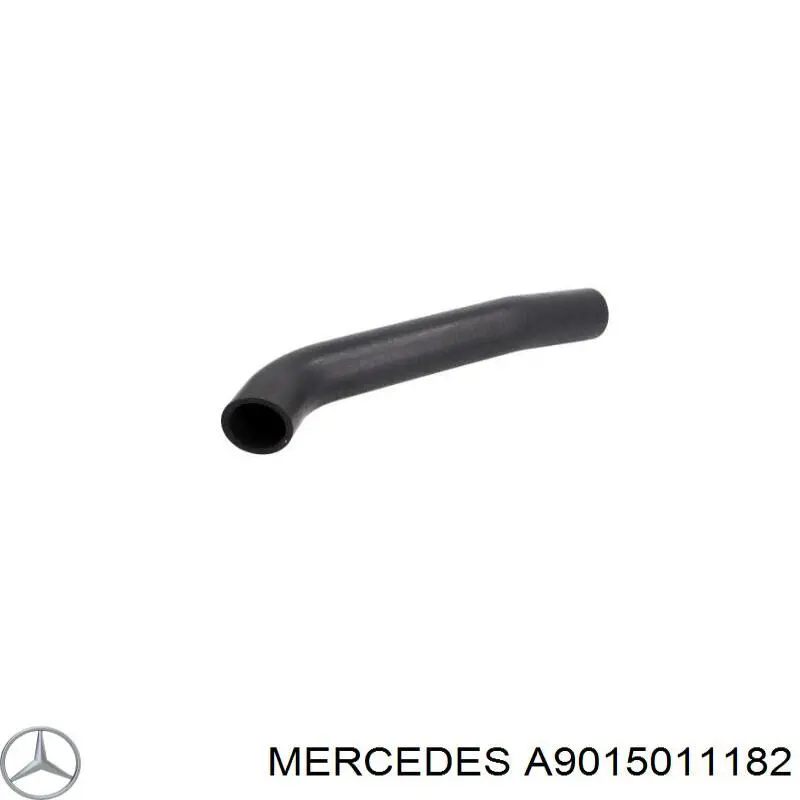 A9015011182 Mercedes manguera refrigerante para radiador inferiora
