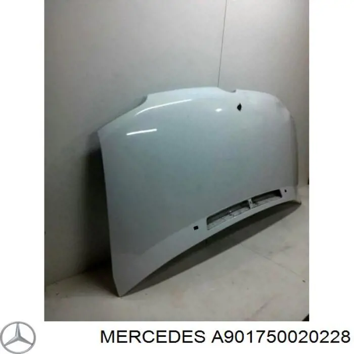 0350334280 Tempest Capó delantero