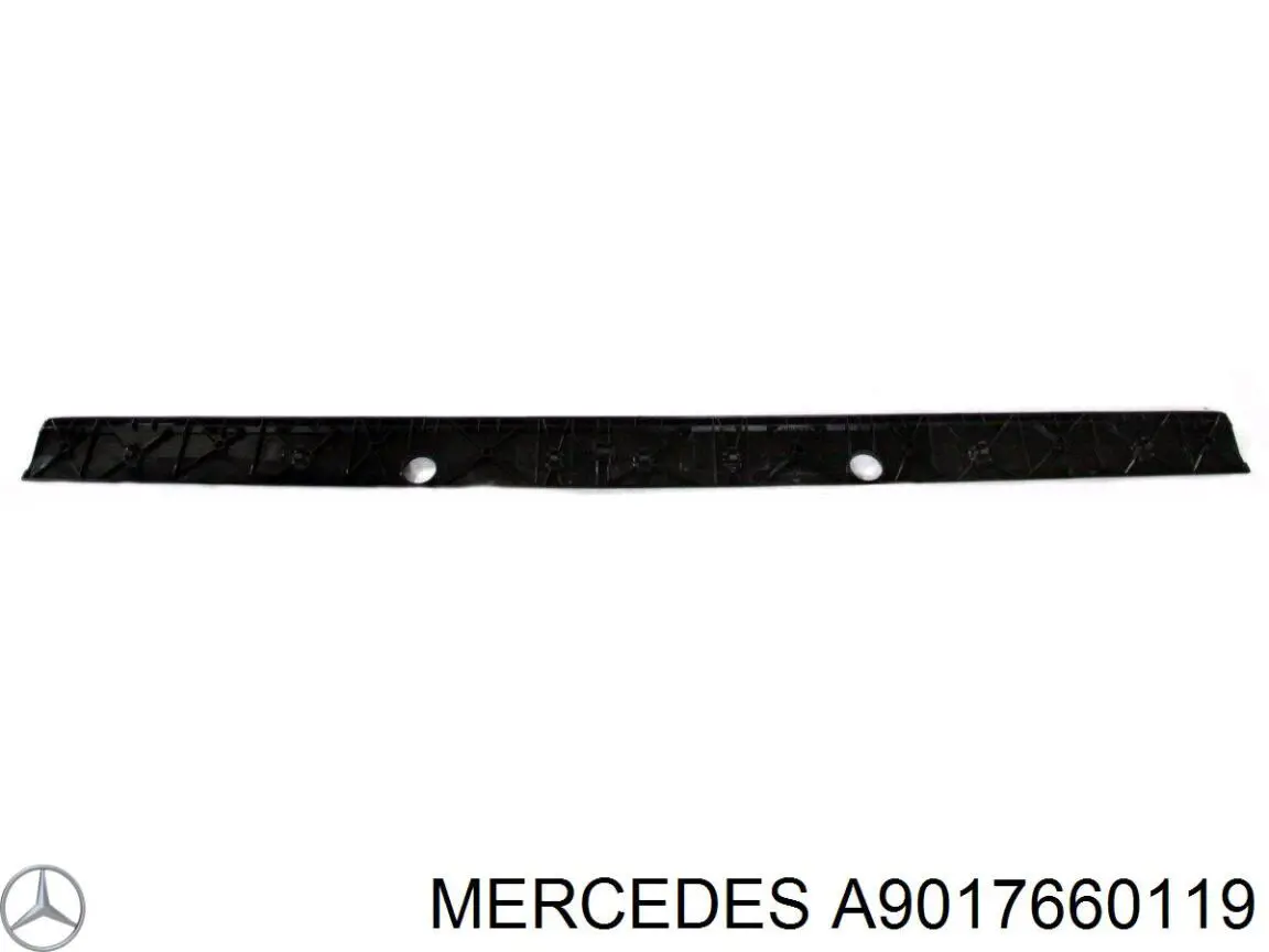 Moldura inferior de la puerta trasera izquierda Mercedes A9017660119 precio, desde 28,95 EUR