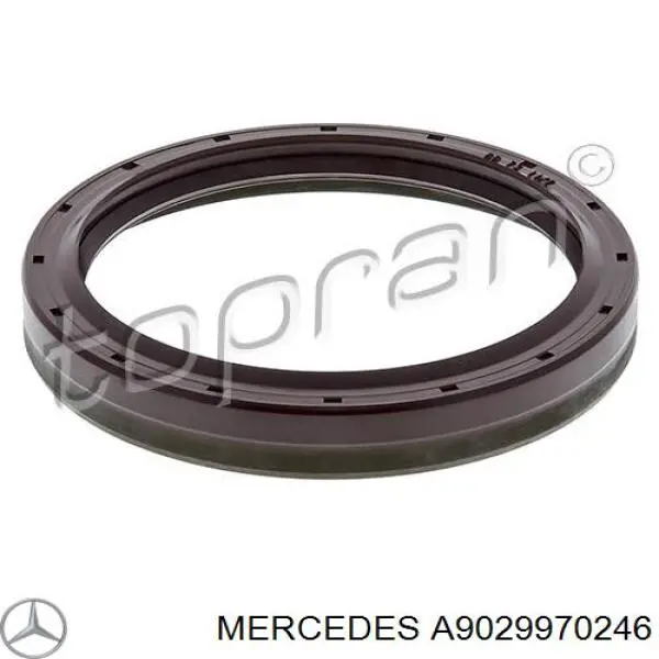 Retén de cubo trasero Mercedes A9029970246 precio, desde 8,75 EUR