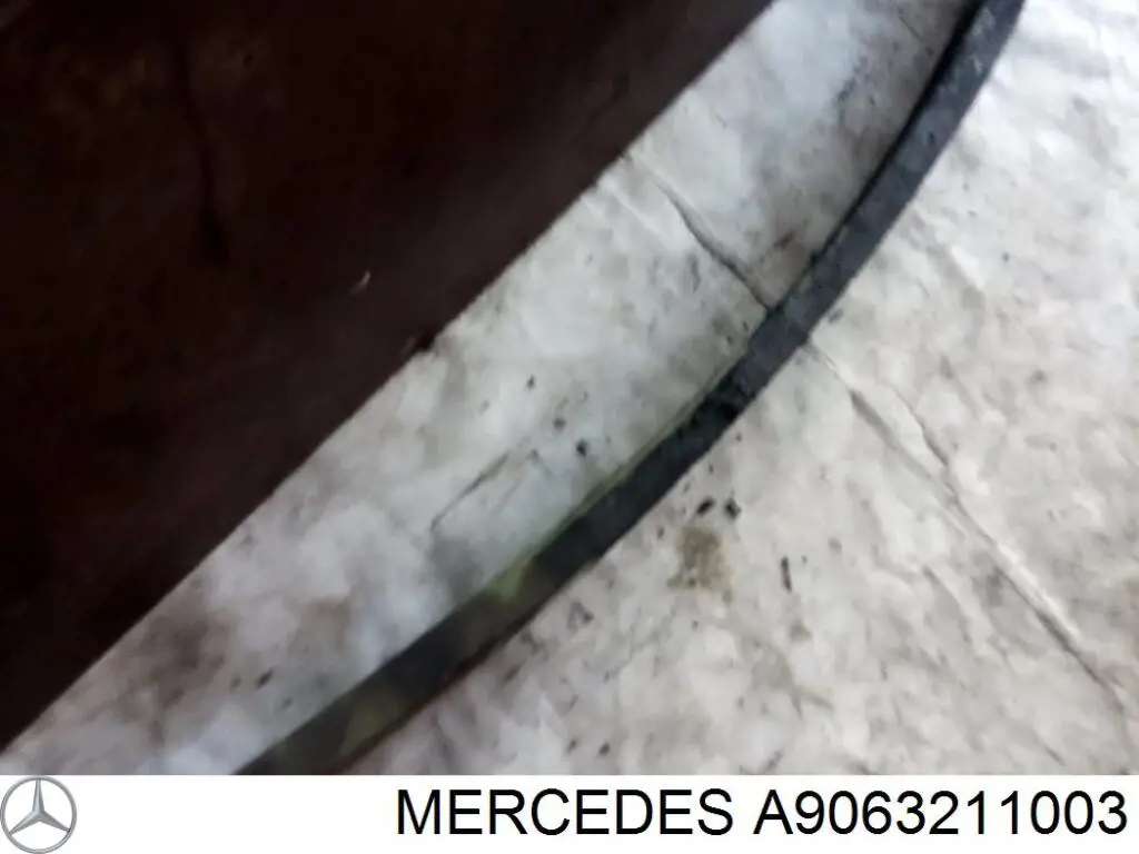 A9063211003 Mercedes ballesta delantera