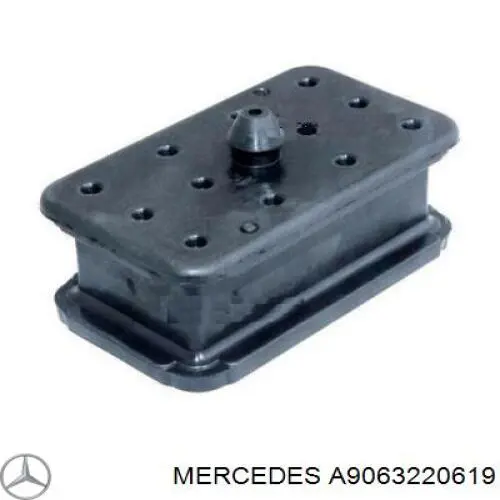 Tope de la ballesta delantera Mercedes A9063220619 precio, desde 10,34 EUR