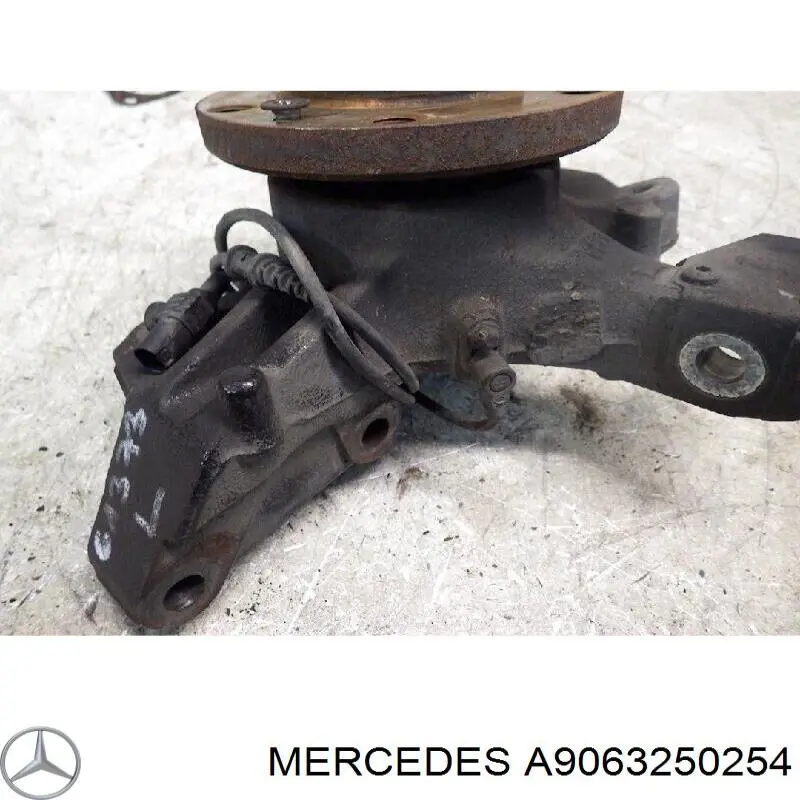 Placa de apoyo de la abrazadera trasera del resorte VAG 2D0599175B