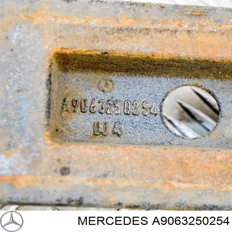 A9063250254 Mercedes placa superior trasera, brida de ballesta