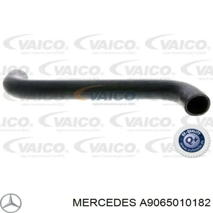 Manguera superior del radiador A9065010182 Mercedes