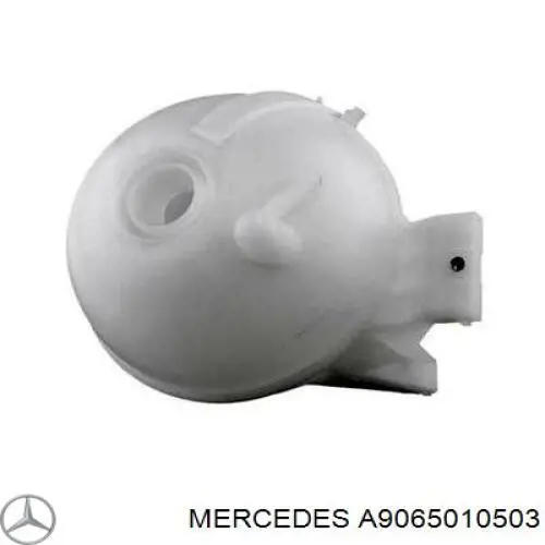 A9065010503 Mercedes vaso de expansión, refrigerante