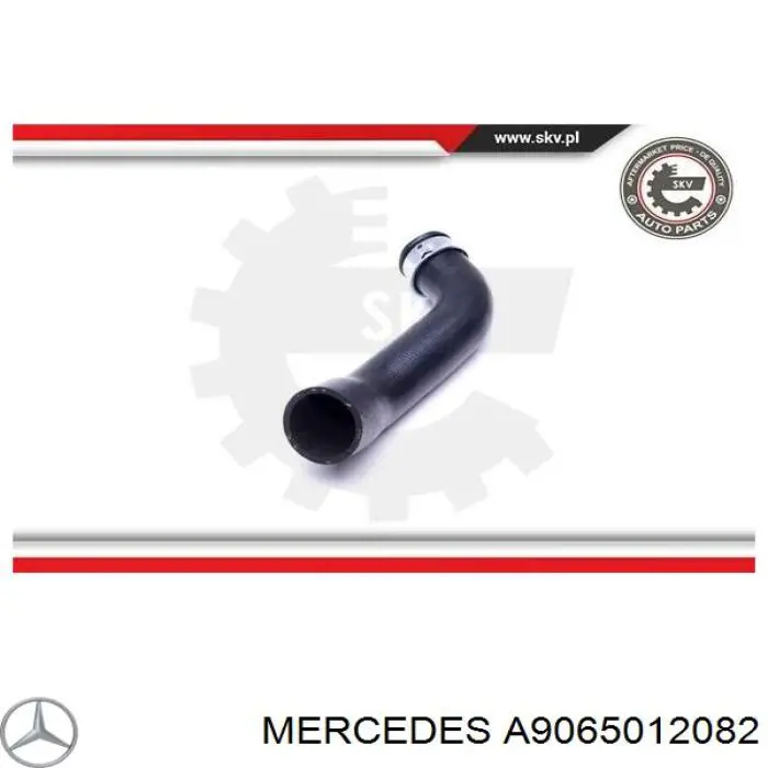 A9065012082 Mercedes manguera refrigerante para radiador inferiora