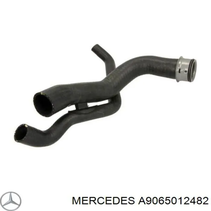 A9065012482 Mercedes manguera refrigerante para radiador inferiora