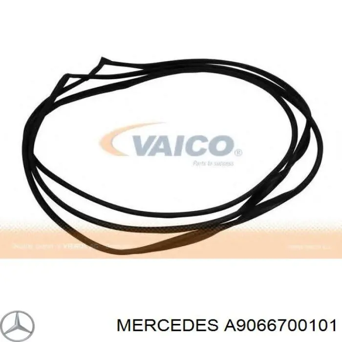 A9066700101 Mercedes parabrisas