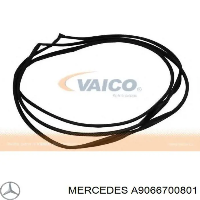A9066700801 Mercedes parabrisas