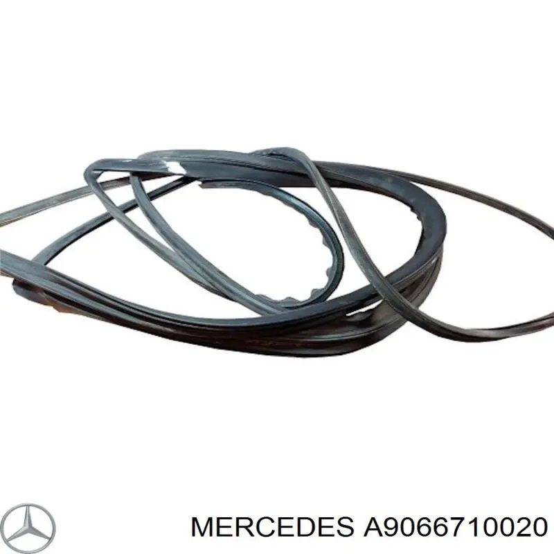 A9066710020 Mercedes junta, parabrisas