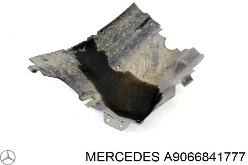 Comprar A9066841777 Mercedes Guardalodos interior delantero derecho