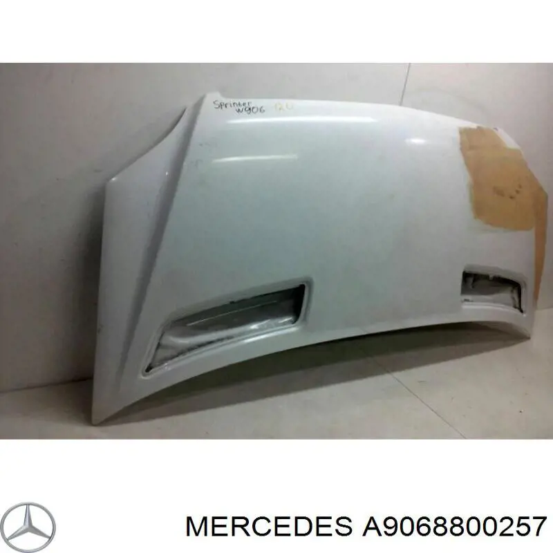 Capó del motor Prasco ME9213100 precio, desde 389,33 EUR