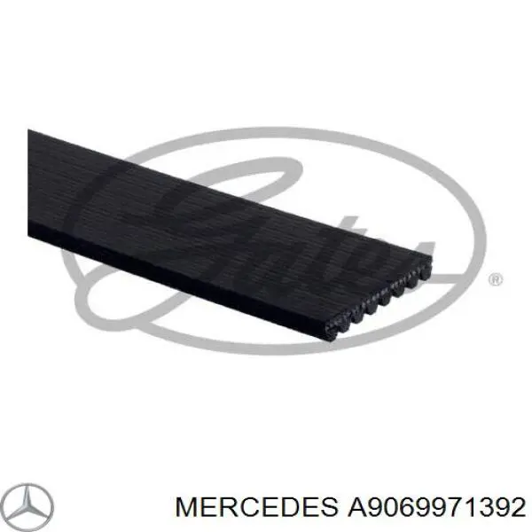 A9069971392 Mercedes correa trapezoidal