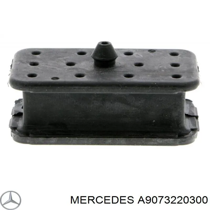 Tope de ballesta delantera MERCEDES A9073220300