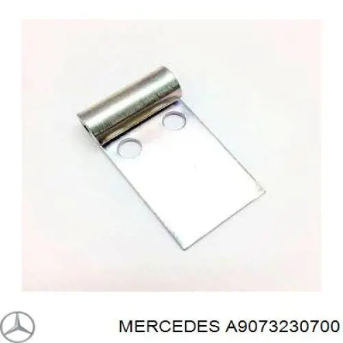 A9073230700 Mercedes Fuelle, amortiguador delantero