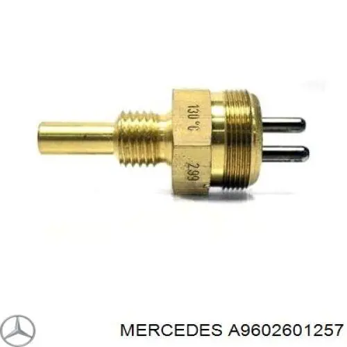 A9602601257 Mercedes