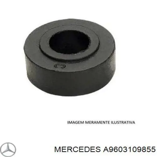 9603109855 Mercedes