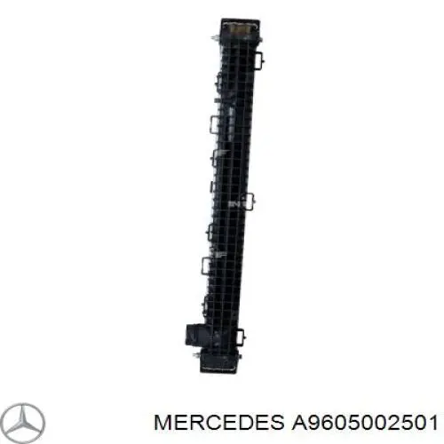 A9605002501 Mercedes