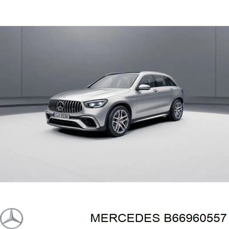 B66960557 Mercedes