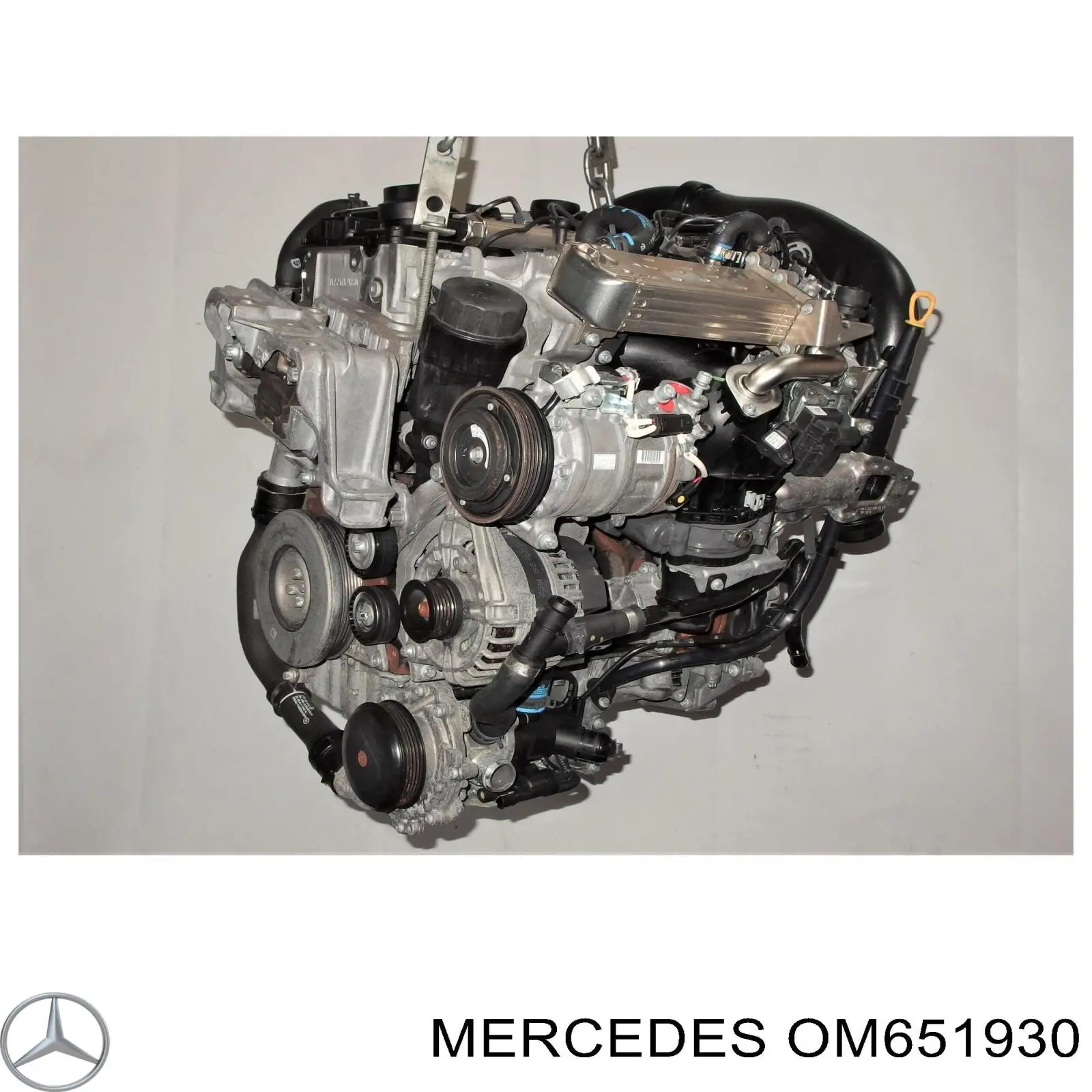 Motor completo Mercedes OM651930 precio, desde 5974,98 EUR