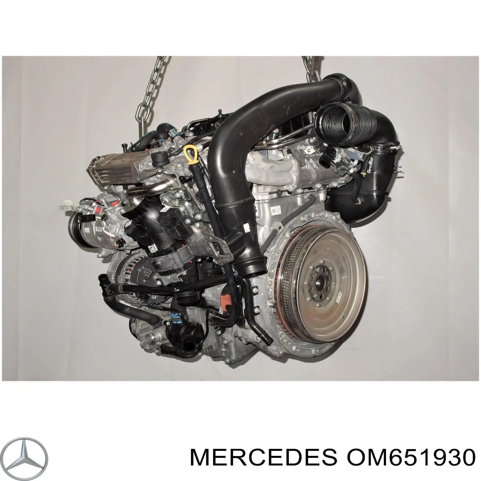 OM651.930 Mercedes motor completo