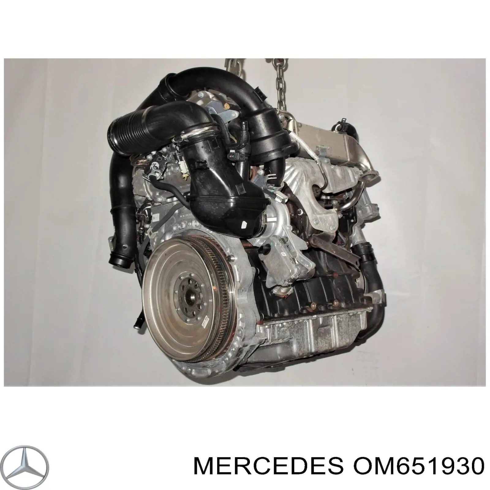 OM651930 Mercedes Motor completo
