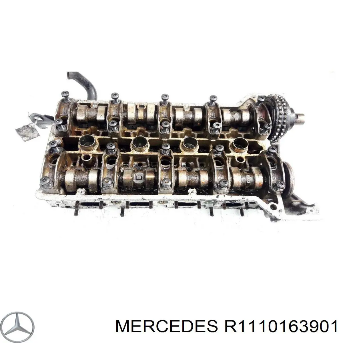 1110105720 Mercedes culata
