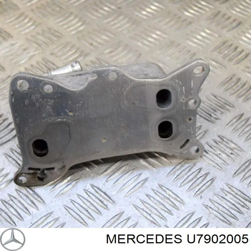  U7902005 Mercedes