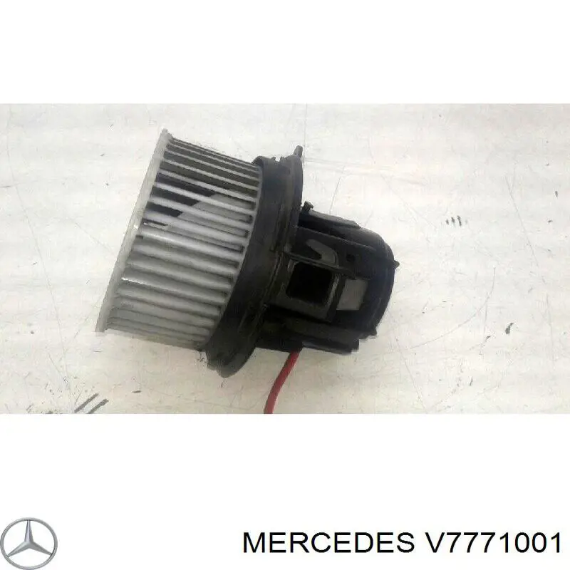 V7771001 Mercedes