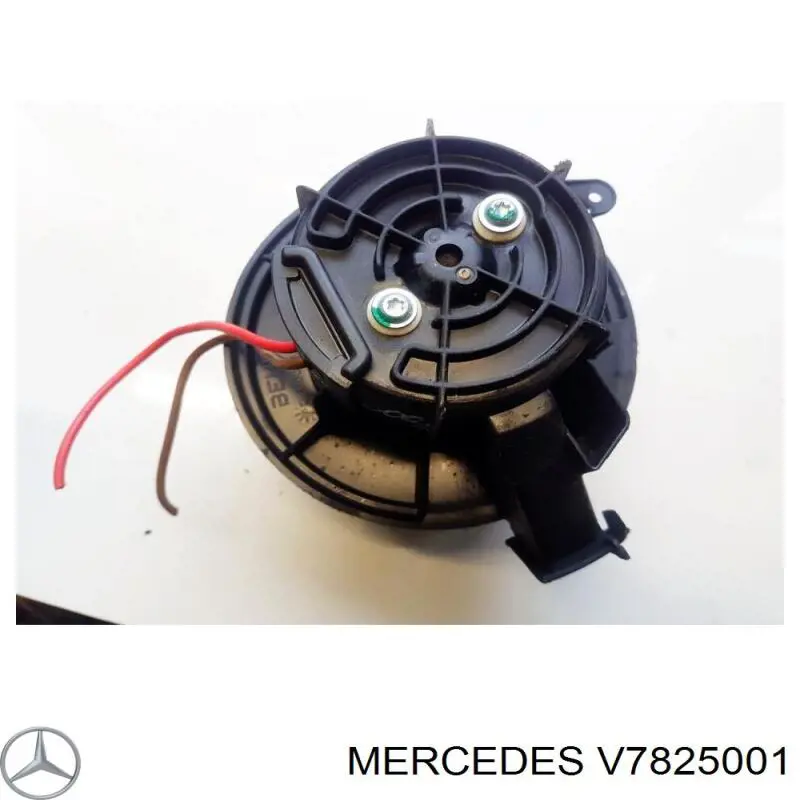 V7825001 Mercedes