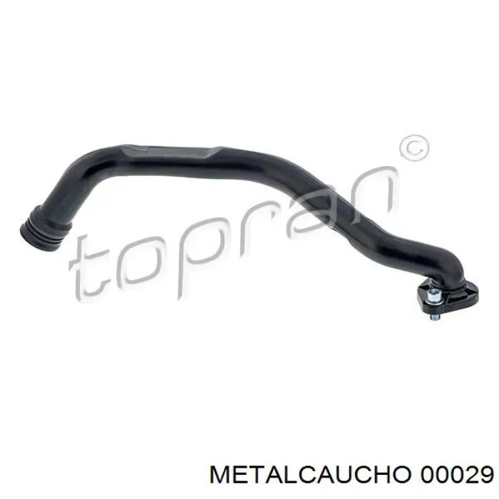 00029 Metalcaucho 