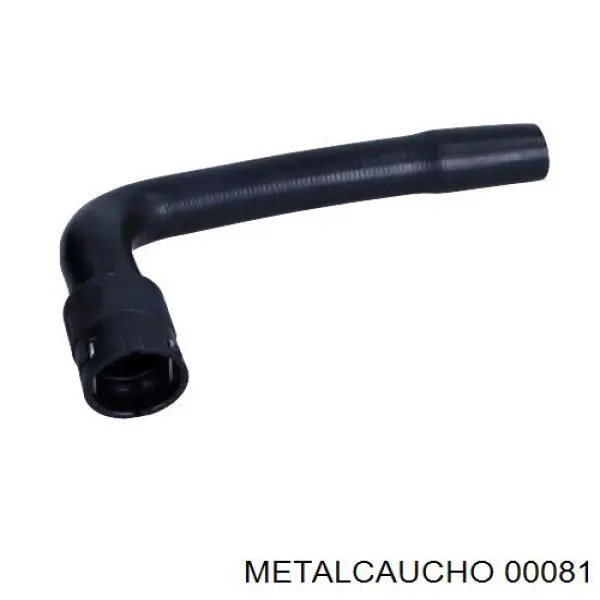Comprar 010613 Cautex Soporte de tubo de escape