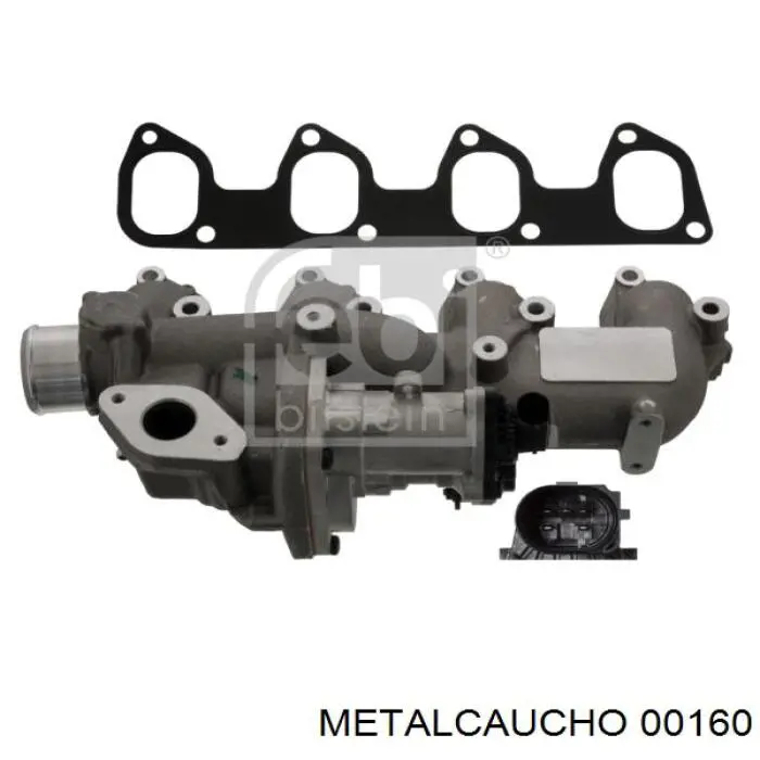  00160 Metalcaucho