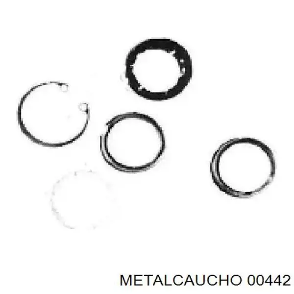 00442 Metalcaucho