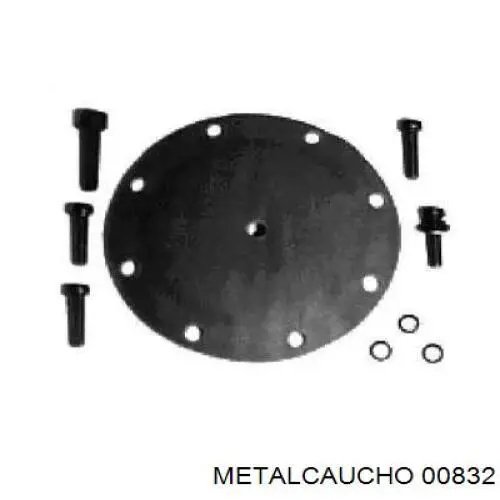 Comprar 021047 Cautex Junta de la bomba de vacío
