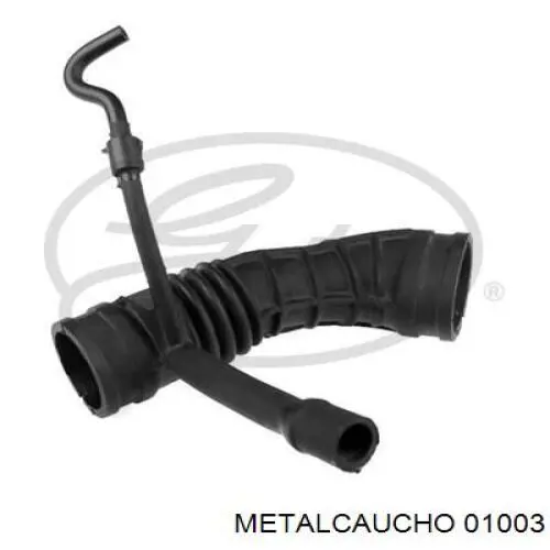 Soporte de motor trasero Ford Mondeo 4 CA2