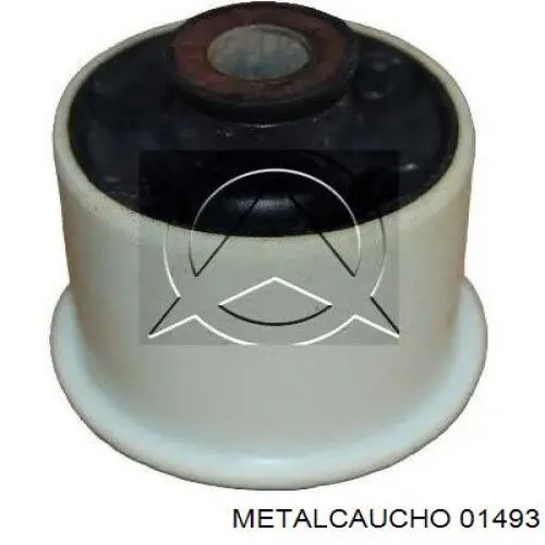 Fuelle de palier delantero exterior 030214 Cautex