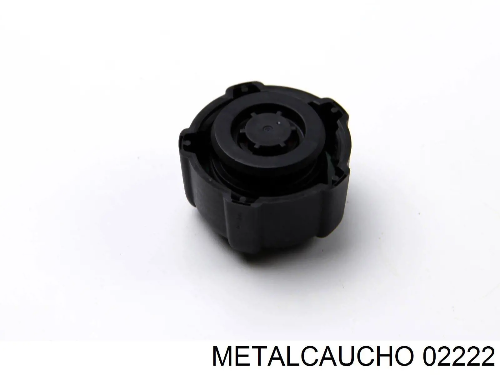 Botella de refrigeración Renault Fluence L3