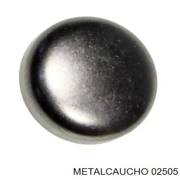 950096 Cautex Tapa de bloque motor