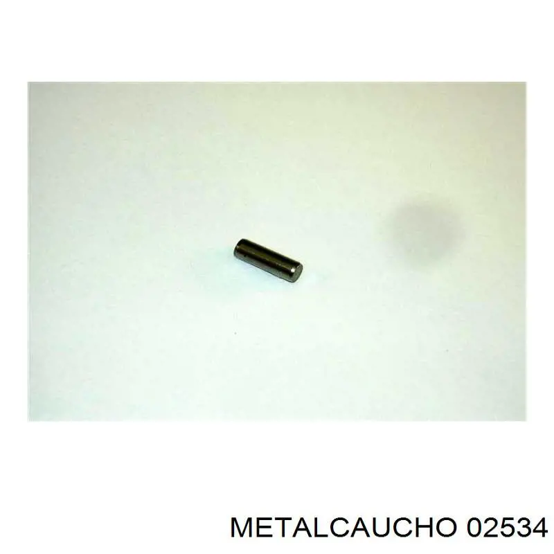 950084 Cautex Tapa de bloque motor