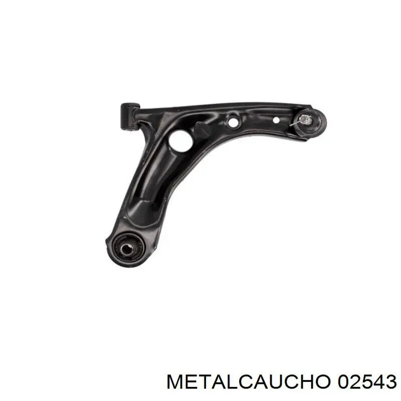 950130 Cautex Tapa de bloque motor